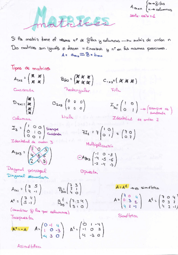 Matrices.pdf