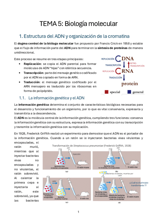 T5.-Biologia-molecular-bioquimica.pdf