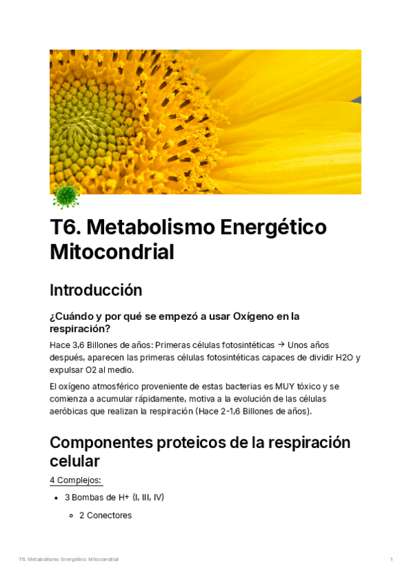 T6.metabolismoenergticomitocondrial.pdf