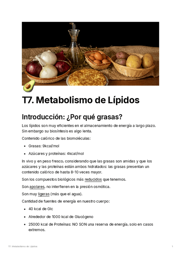 T7.metabolismodelpidos.pdf