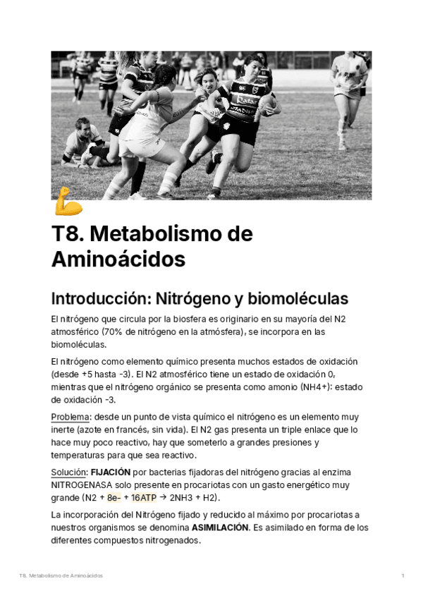 T8.metabolismodeaminocidos.pdf