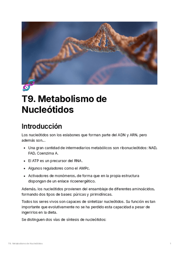 T9.metabolismodenucletidos.pdf