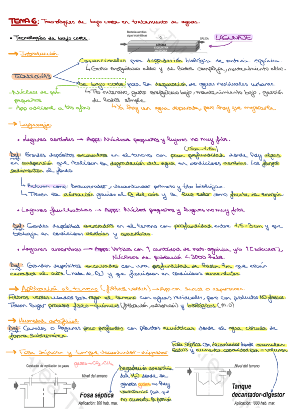 TEMA-6.pdf