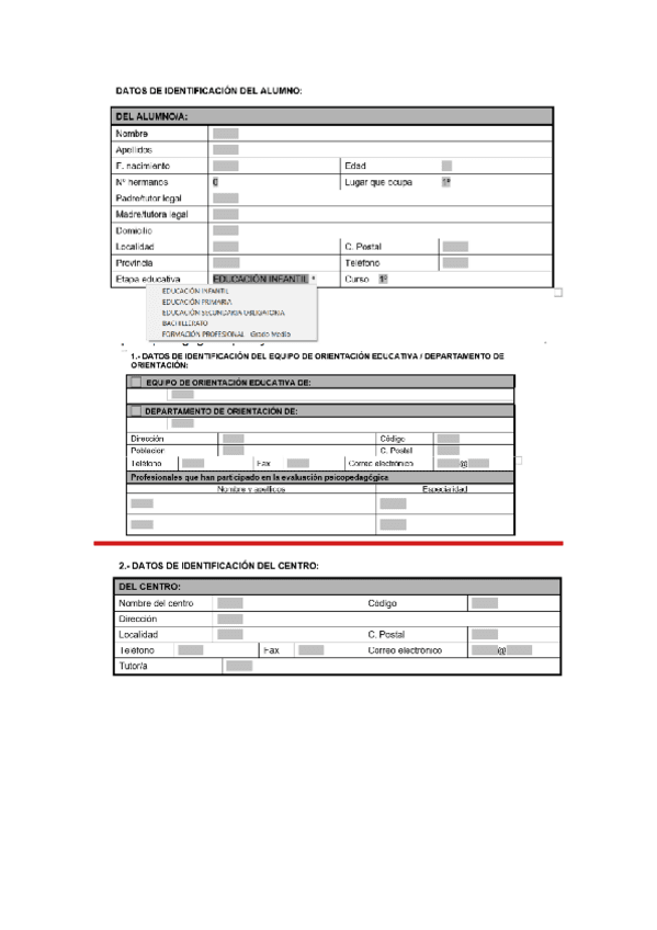 Pruebas-estandarizadas-informe-psicopedagogico.pdf