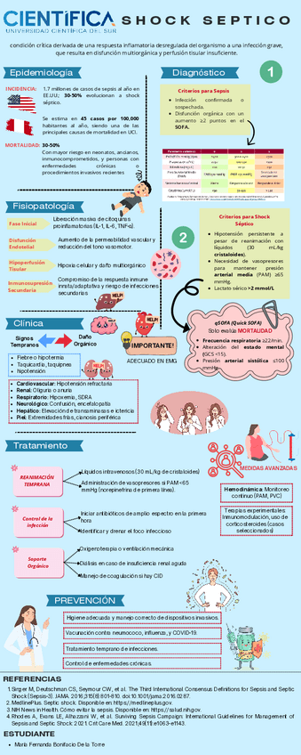 Shock-Septico-Infografia-Med-V.pdf