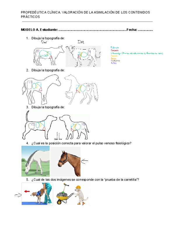 Examen-practico-de-prope-resuelto.pdf