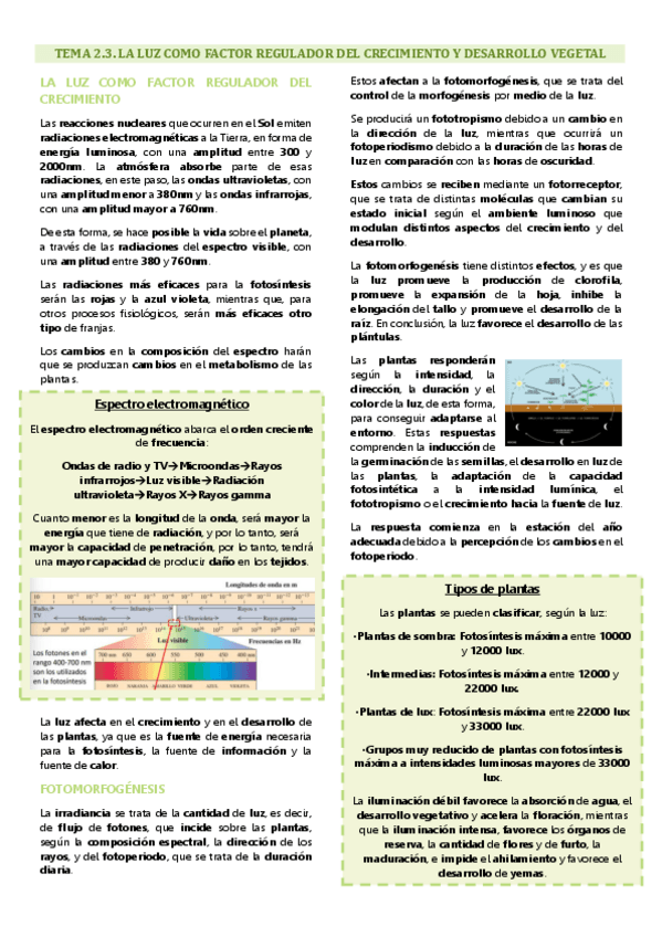 Tema 2.3 fisiología vegetal, la luz como factor regulador del crecimiento y desarrollo vegetal.pdf