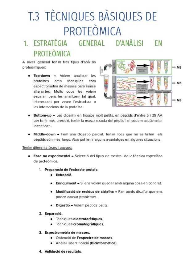 T.3-TECNIQUES-BASIQUES-DE-PROTEOMICA.pdf