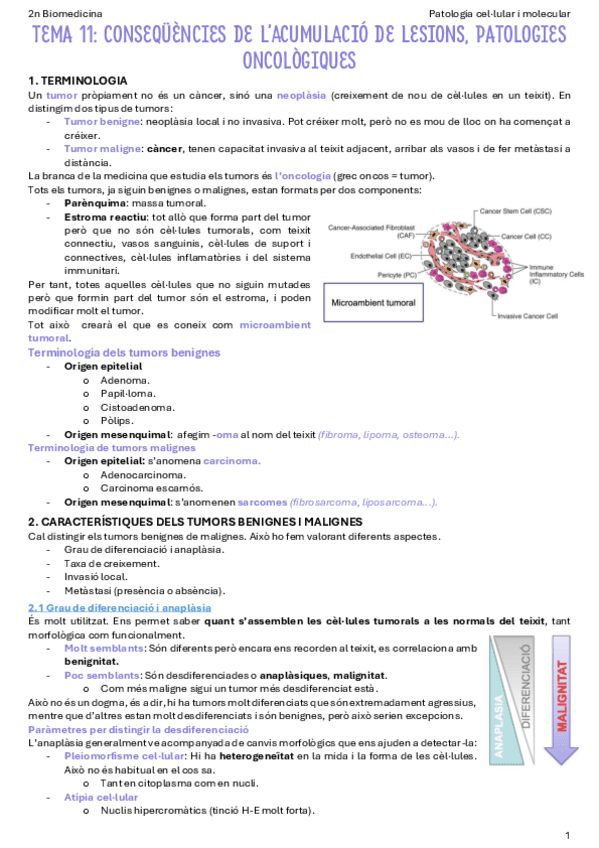 T11-Consequencies-de-lacumulacio-de-lesions-patologies-oncologiques.pdf