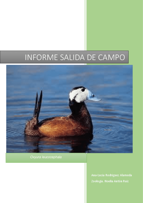 INFORME-DE-LA-SALIDA-DE-CAMPO.pdf
