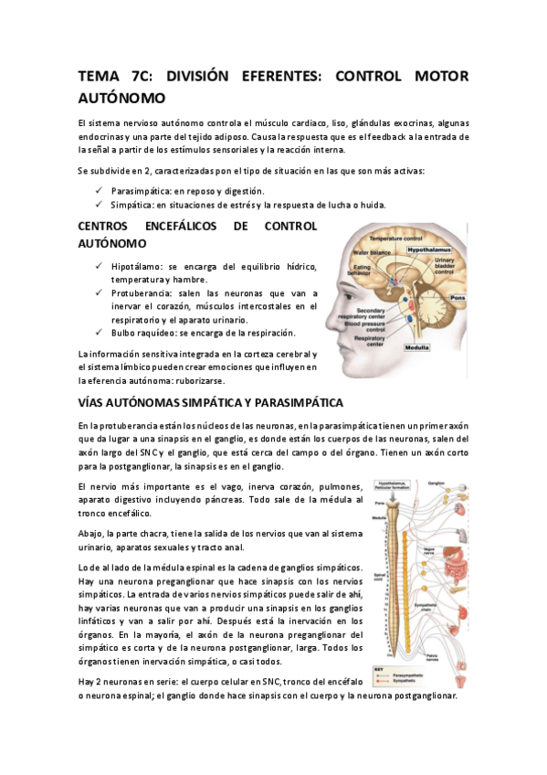 TEMA-7C.pdf