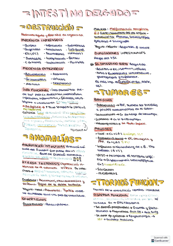 Intestino-delgado.pdf