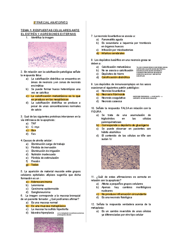 00-EXAMENES-1o-CUATRI-AP.pdf