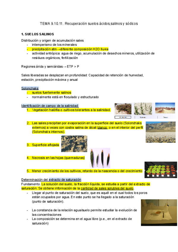 EDAFOLOGIA-PARTE-2.pdf