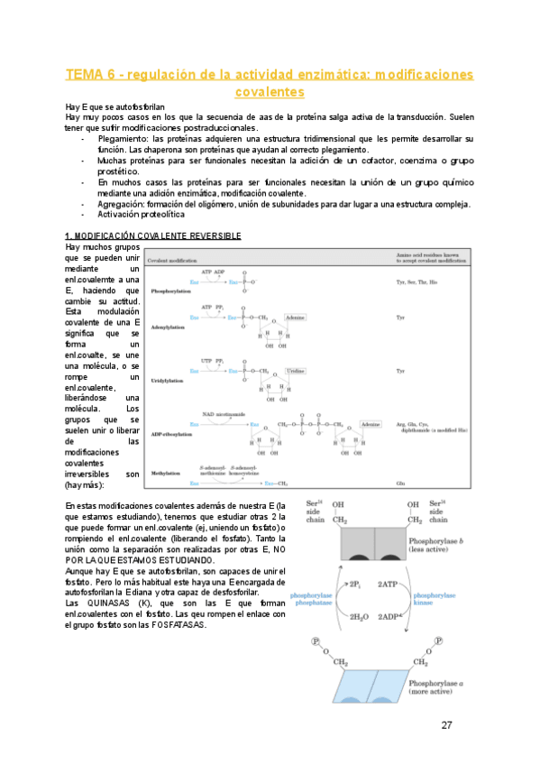 tema-6.pdf