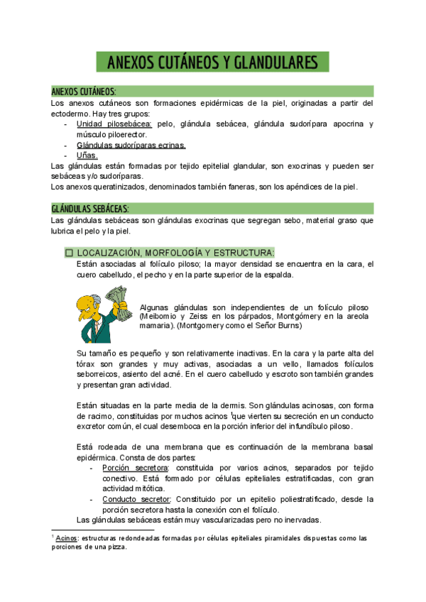 T2.-ANEXOS-CUTANEOS.pdf