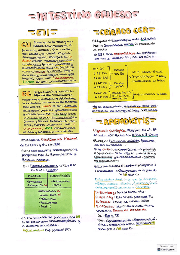 Intestino-grueso.pdf