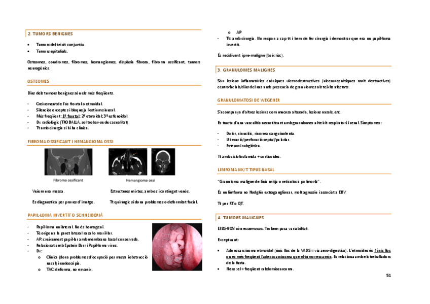 OTORRINO.51-95-pag.pdf