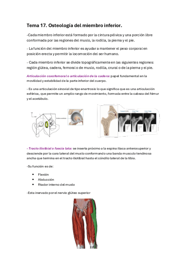 parcial-2-anatomia.pdf