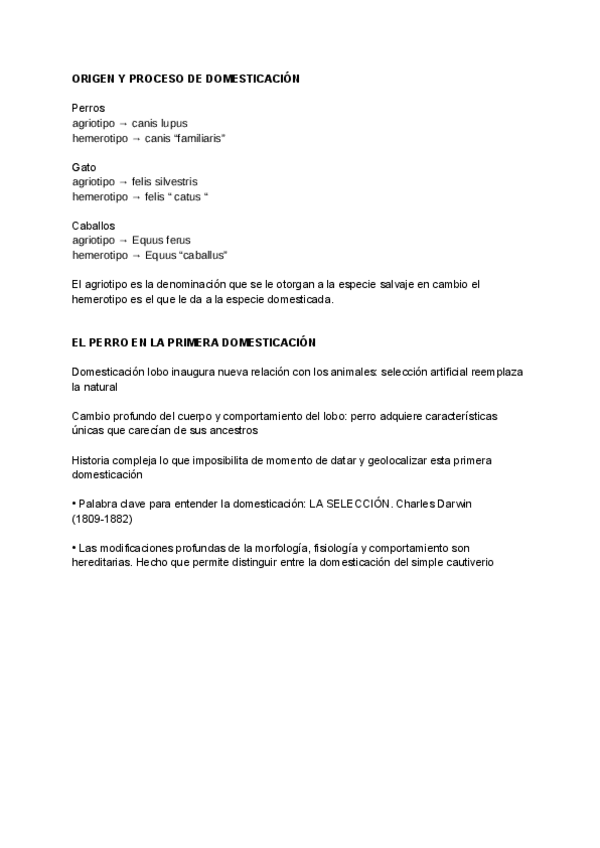 PERROS-.docx.pdf