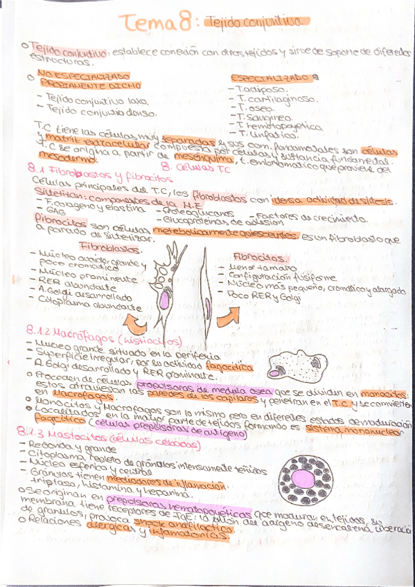 Tema-8-tejido-conjuntivo.pdf