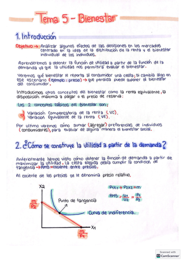 Tema-5-Bienestar.pdf