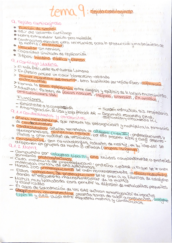 Tema-9-Tejido-cartilaginoso.pdf