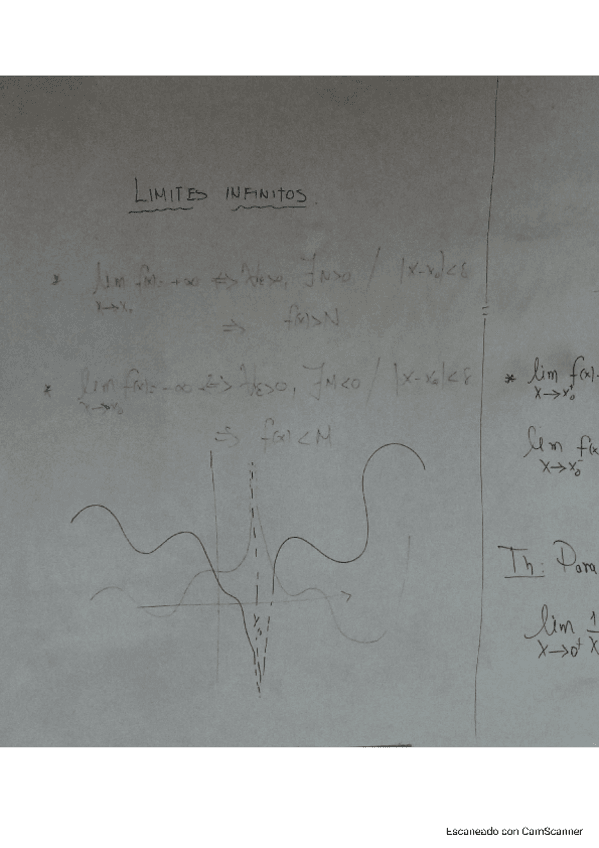 3.-Limites-infinitos-trigonometricos-funcion-exponencial-y-logaritmo.pdf