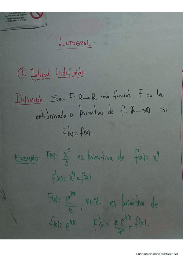 10.-Integral-indefinida.pdf