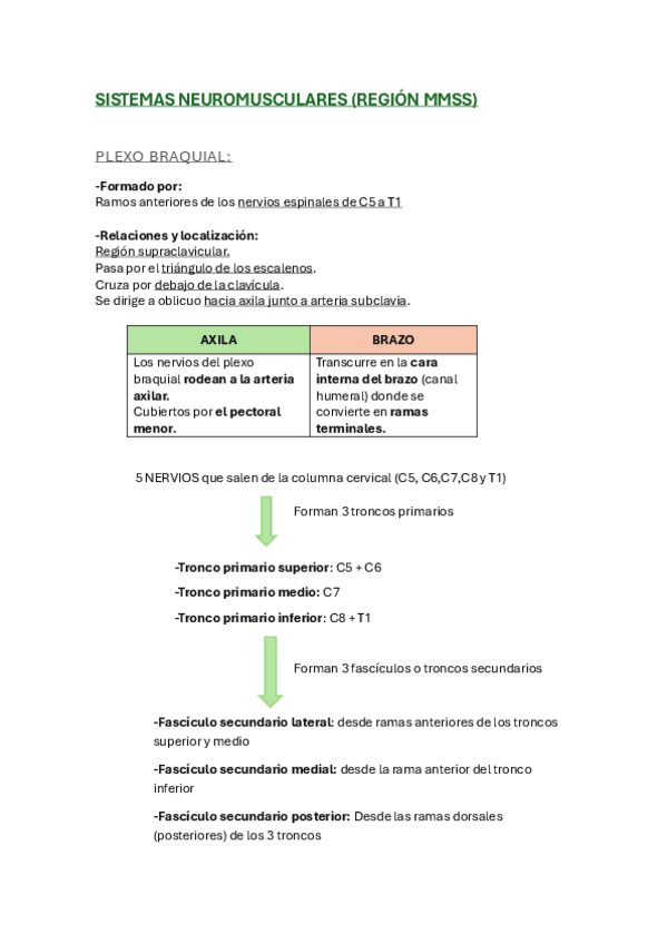 sistema-neuromusculares-region-MMSS-resumen.pdf