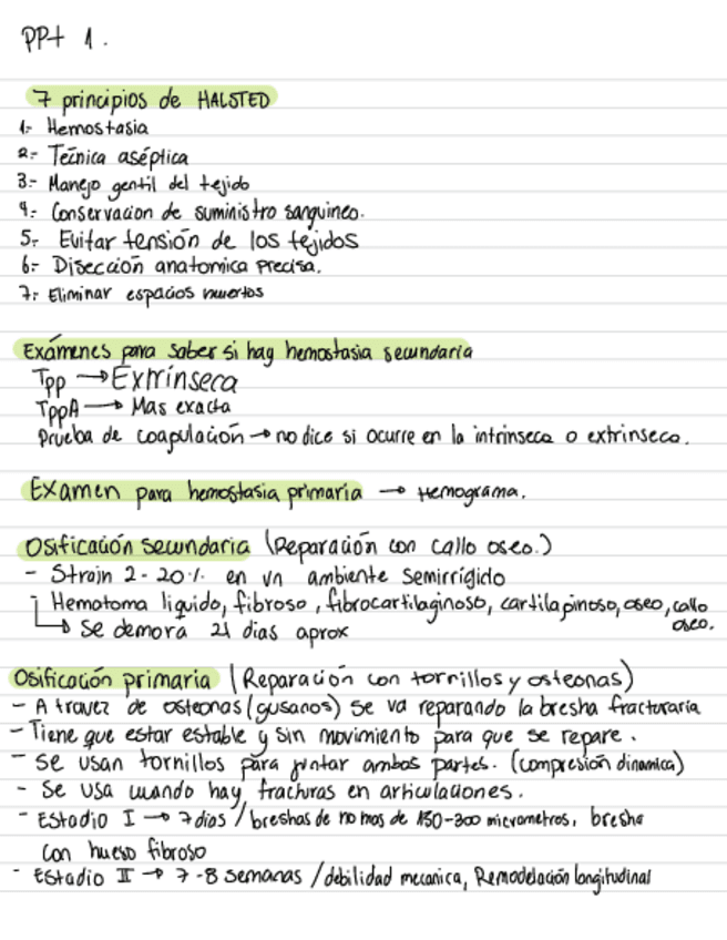 Resumen-Solemne-1.pdf