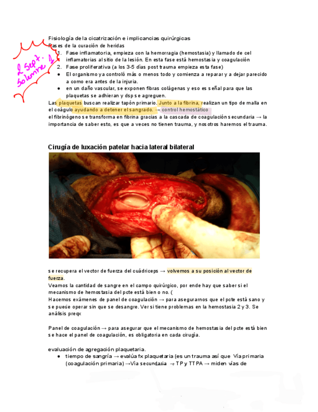 transcripcion-clase-1-y-2.pdf