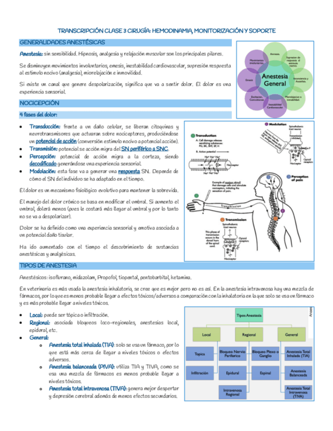 Hemodinamia-estabilizacion-etc.-Clase-3.pdf