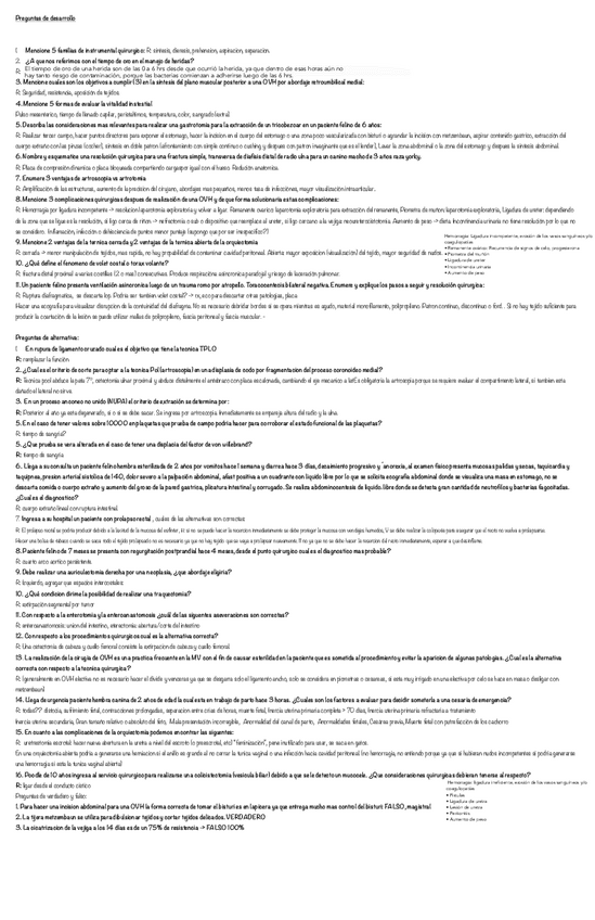 Solemne-1-cirugia-completa-2023.pdf