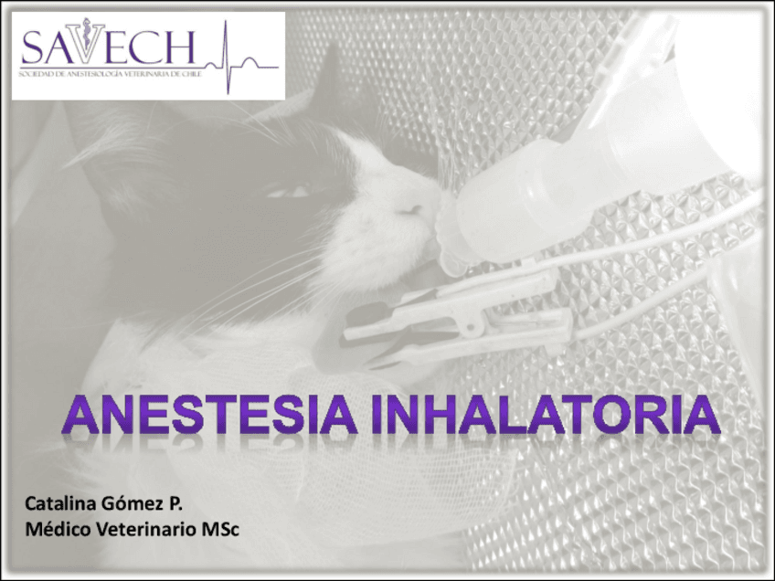 Anestesia-inhalatoria-y-PIVA-Clase-6.pdf