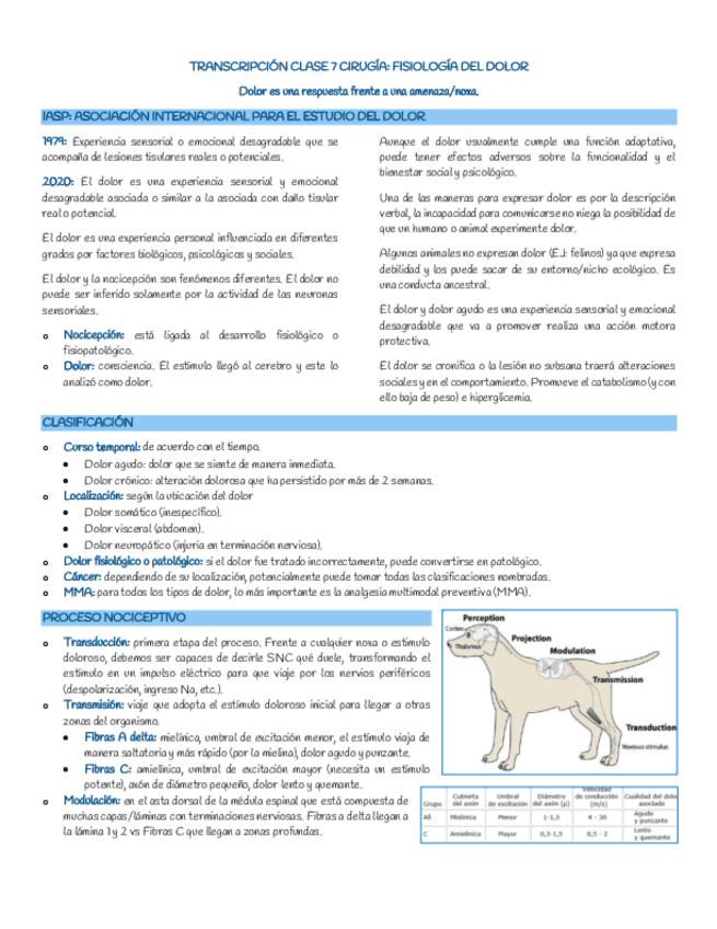 Fisiologia-del-dolor.-Clase-7.pdf
