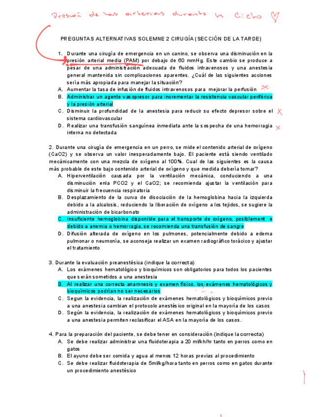 Solemne-2-Cirugia.pdf