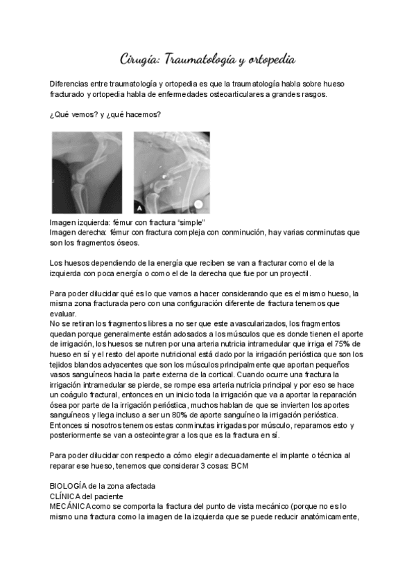 Trauma-Y-Ortopedia-Transcripcion.pdf
