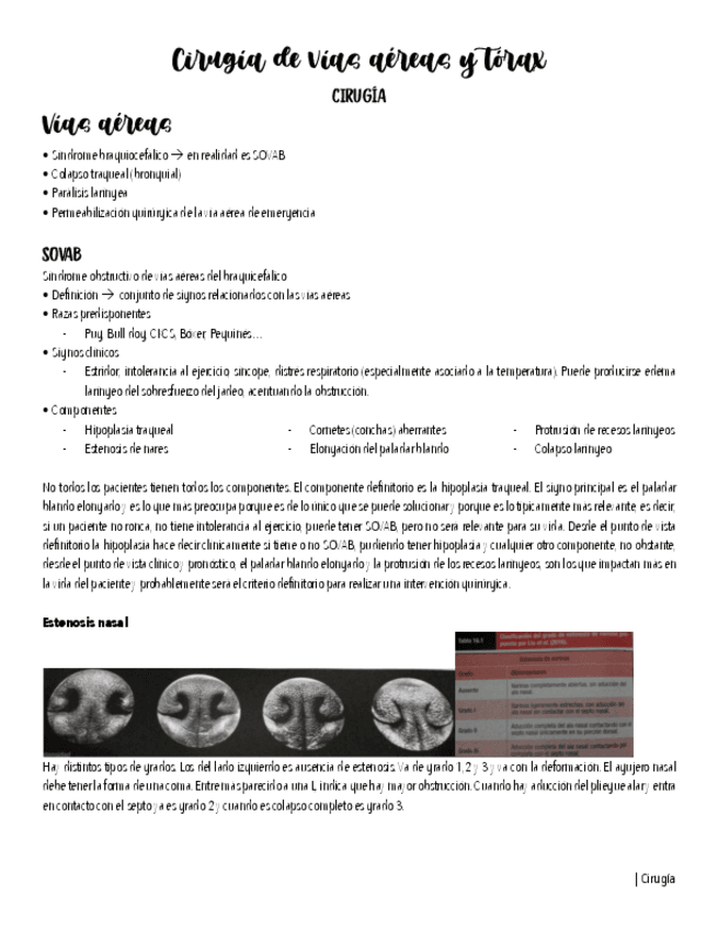 Via-Aereas-Resumen.pdf