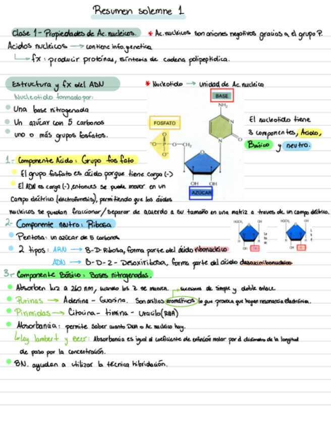 Resumen-Solemne-1.pdf
