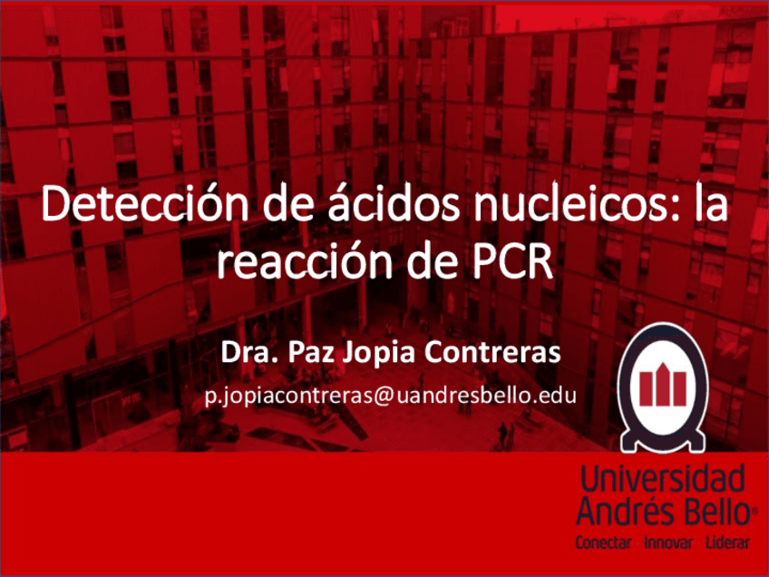 Clase-2.pdf