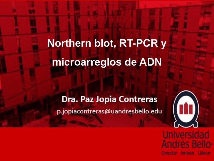 Clase-4.pdf