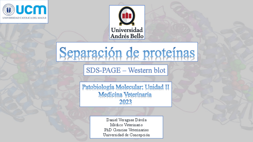 clase-3-Separacion-de-prote.pdf