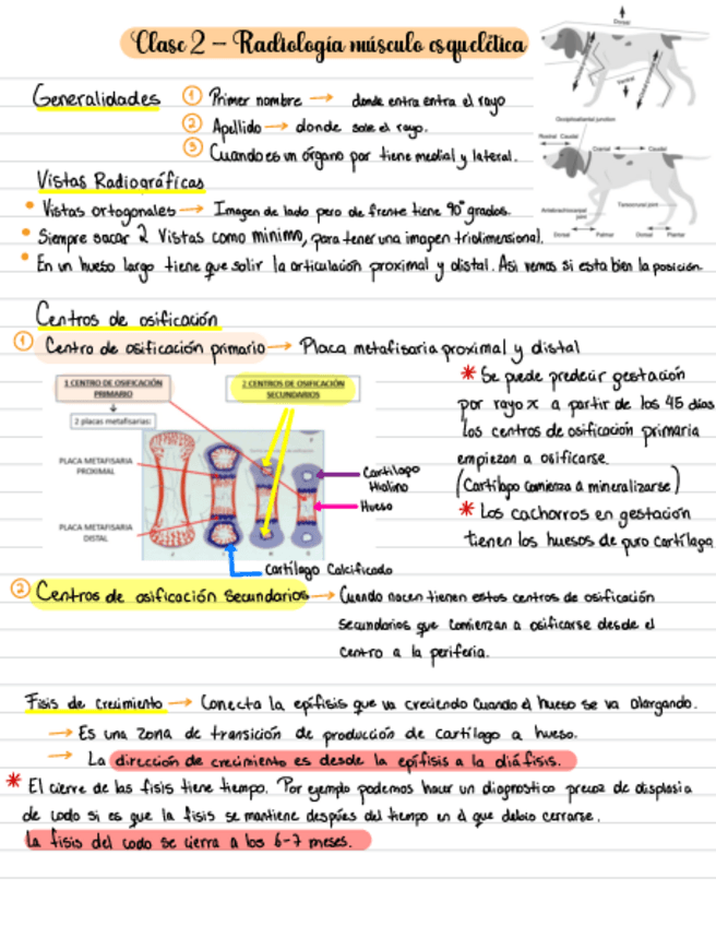 Resumen-clase-2.pdf