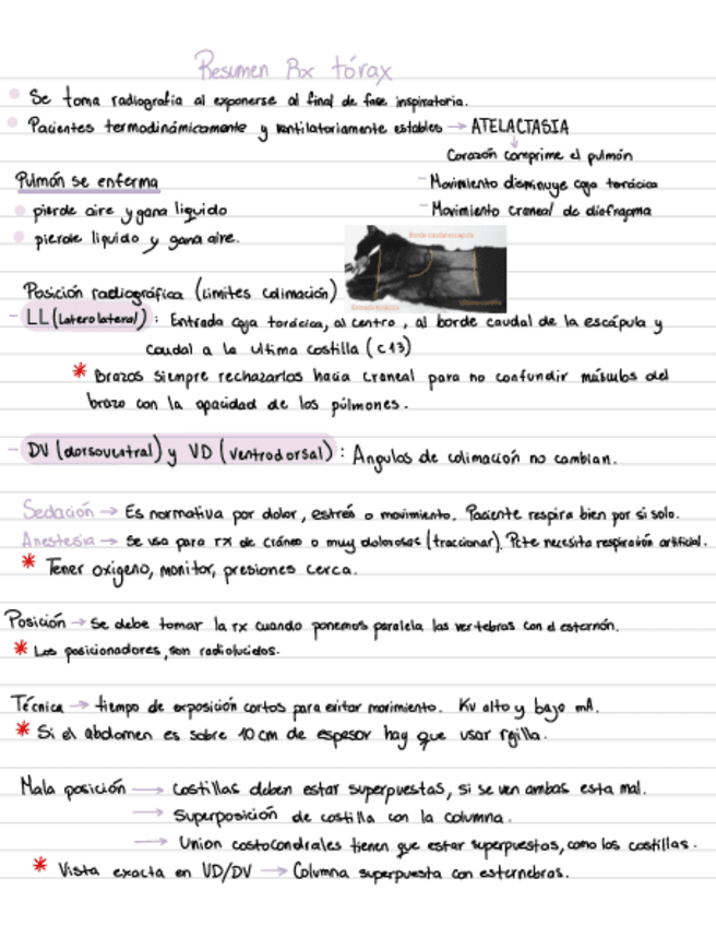 Resumen-Rx-torax.pdf
