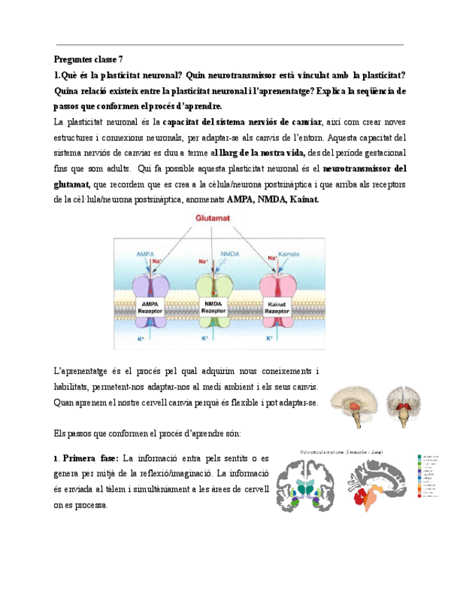 Preguntes-classe-7.pdf