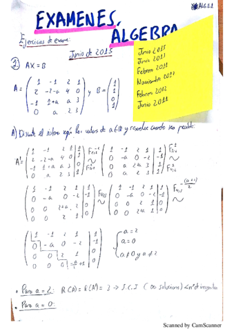 coleccion examenes resueltos algebra completo.pdf