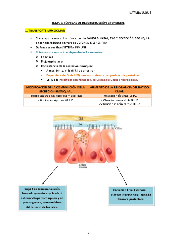 TEMA-8-tecnicas-de-desobstruccion-bronquial.pdf