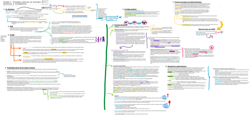 Conceptos Basicos De La Biologia Molecular Pdf