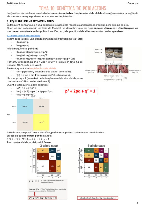 T10-Genetica-de-poblacions.pdf